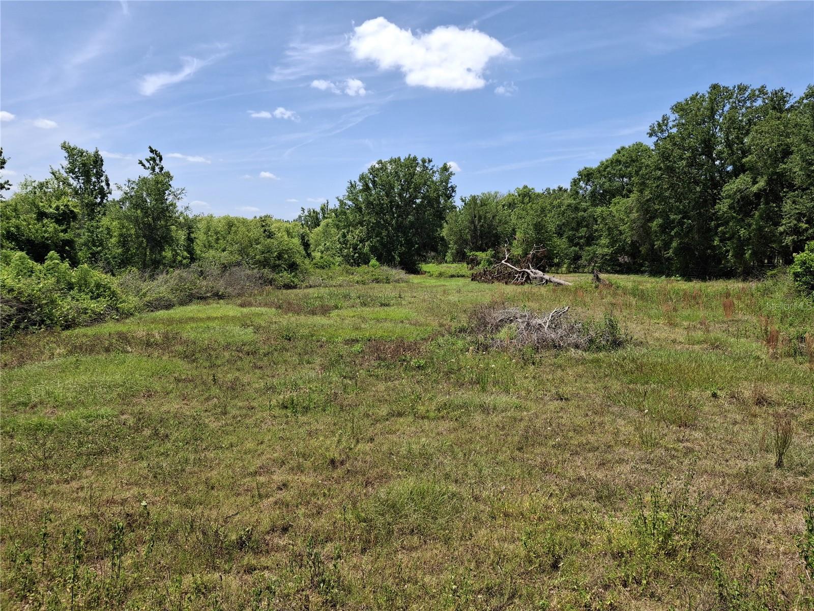 Image 21 of 36 For 30630 Tyndall Road