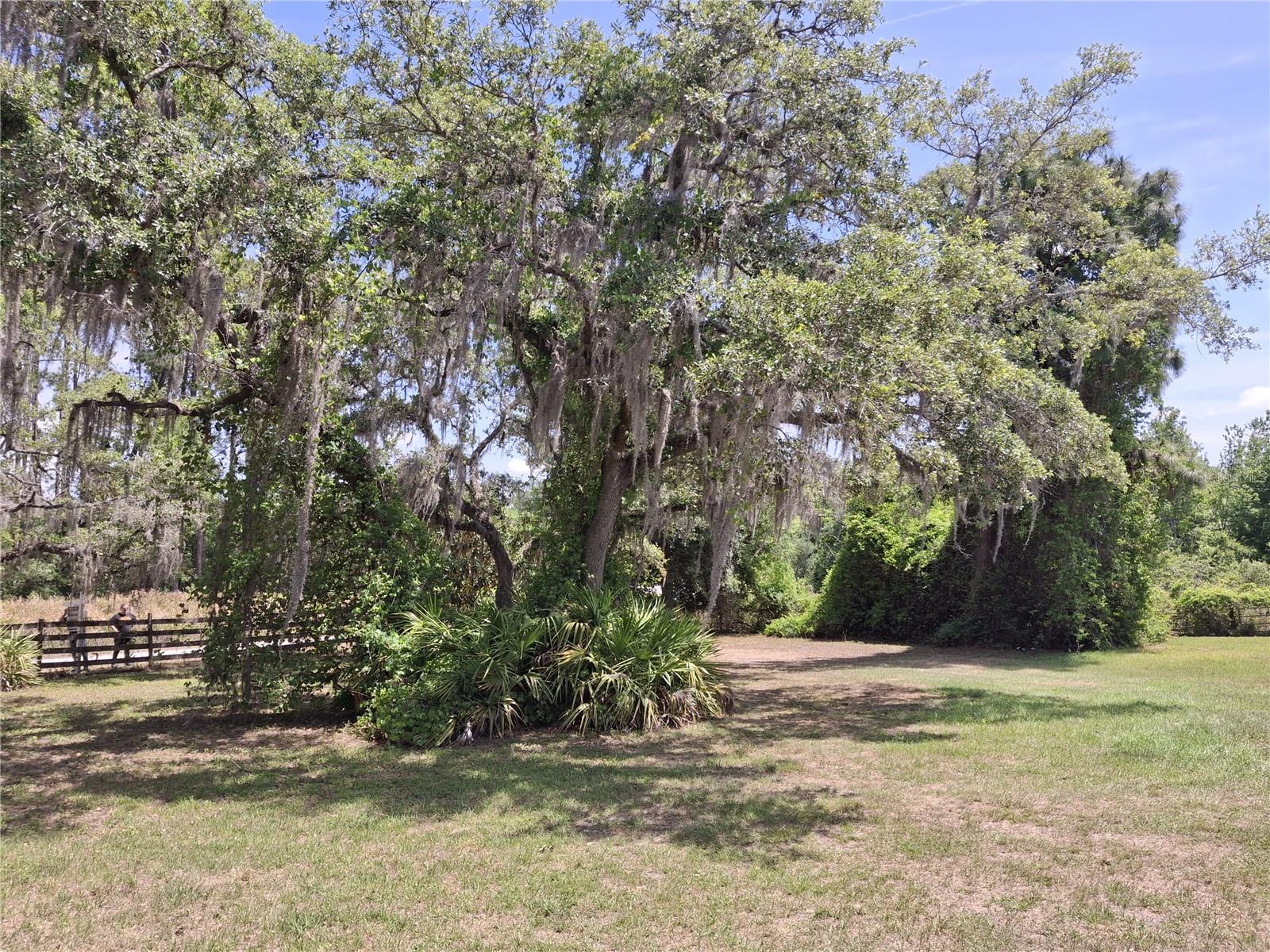 Image 24 of 36 For 30630 Tyndall Road