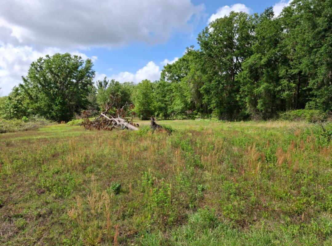 Image 4 of 36 For 30630 Tyndall Road