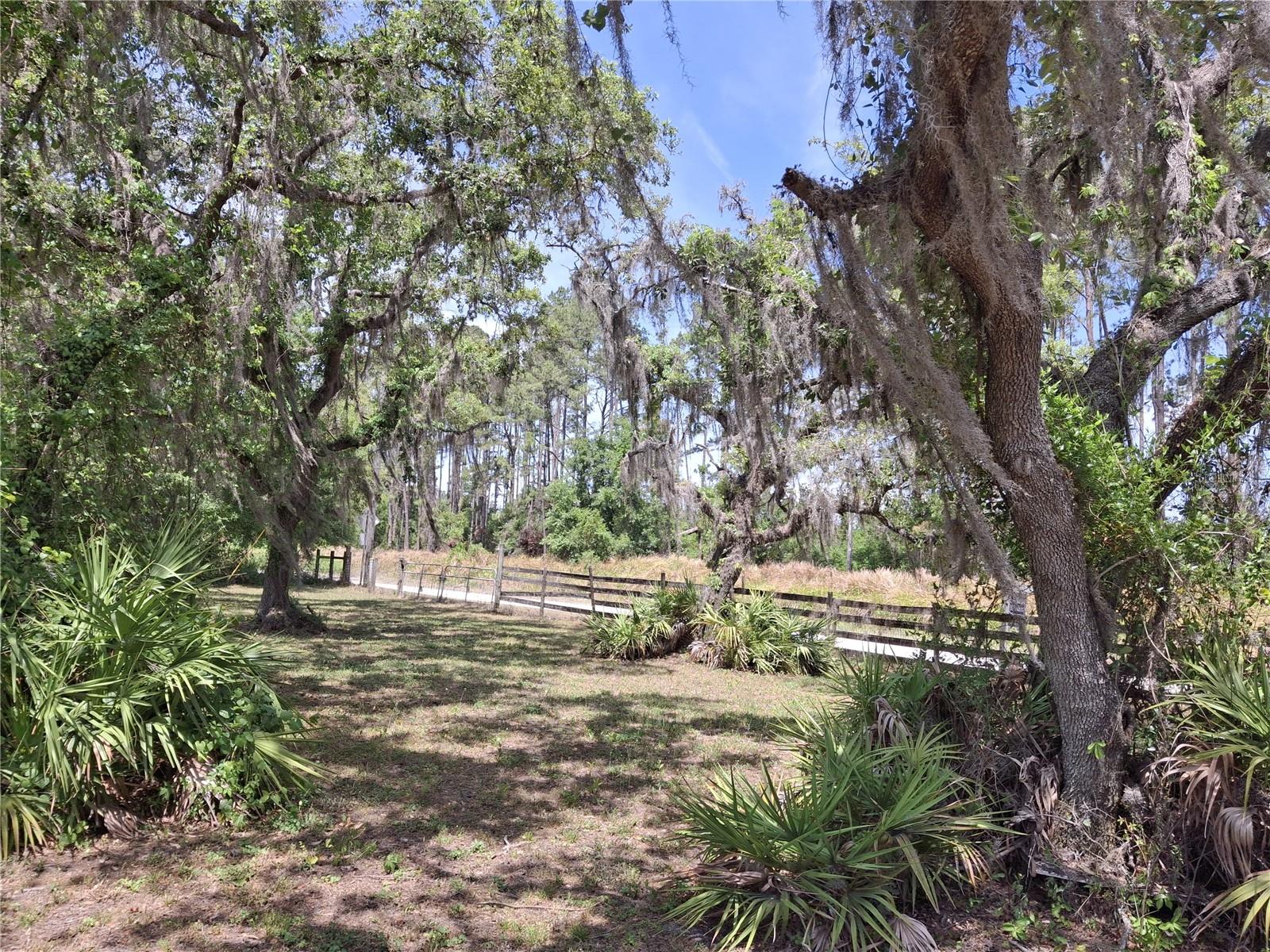 Image 9 of 36 For 30630 Tyndall Road