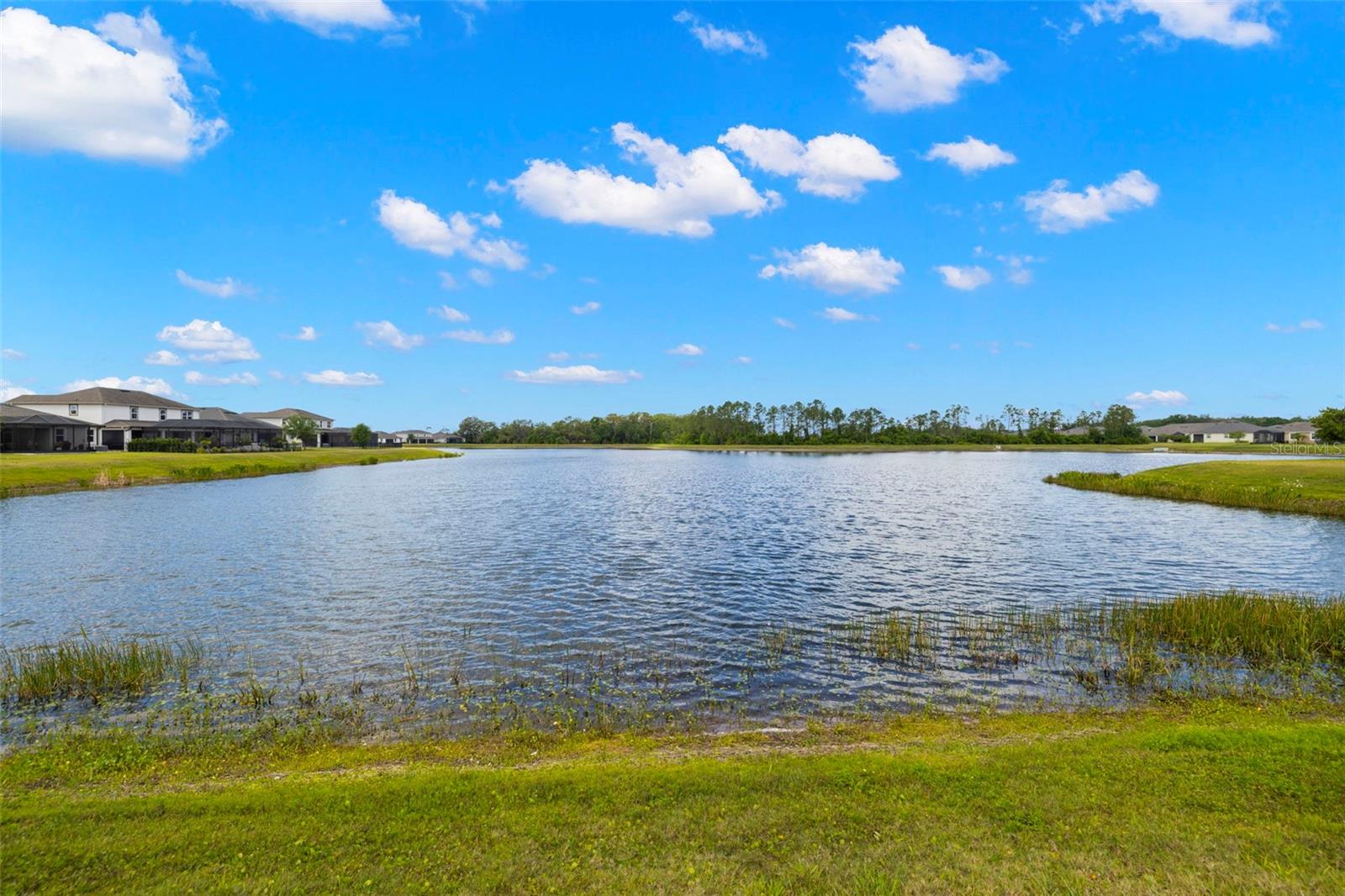 Image 33 of 39 For 11748 Cambium Crown Drive