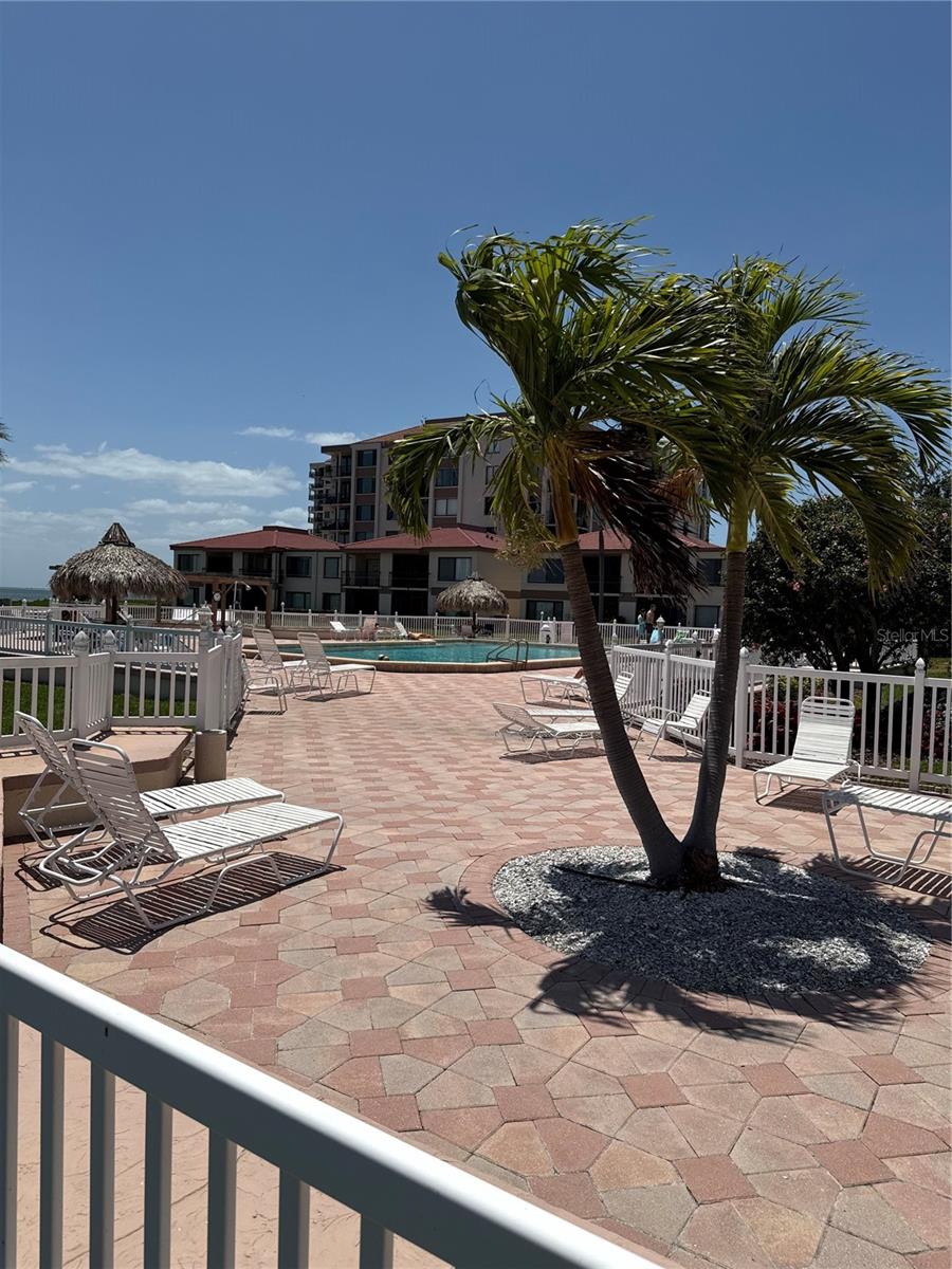 Image 8 of 30 For 6218 Palma Del Mar Boulevard S 303