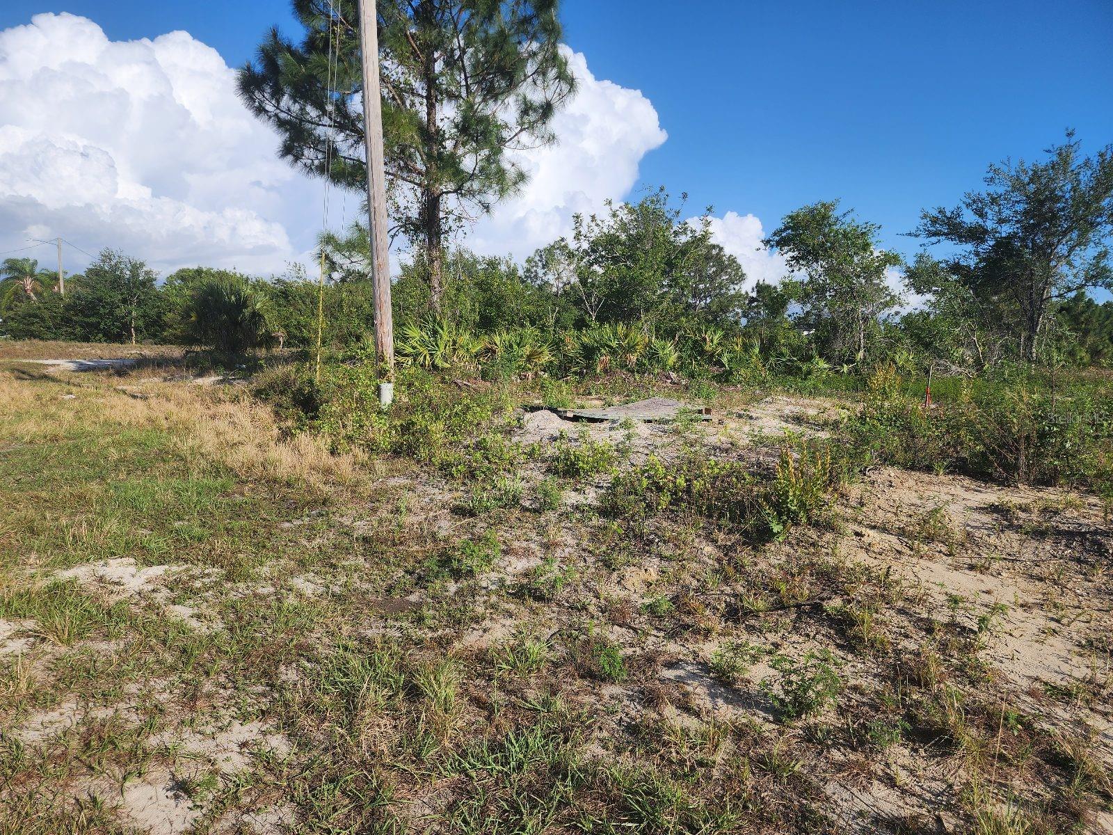 Image 17 of 25 For 3303 13th Street W