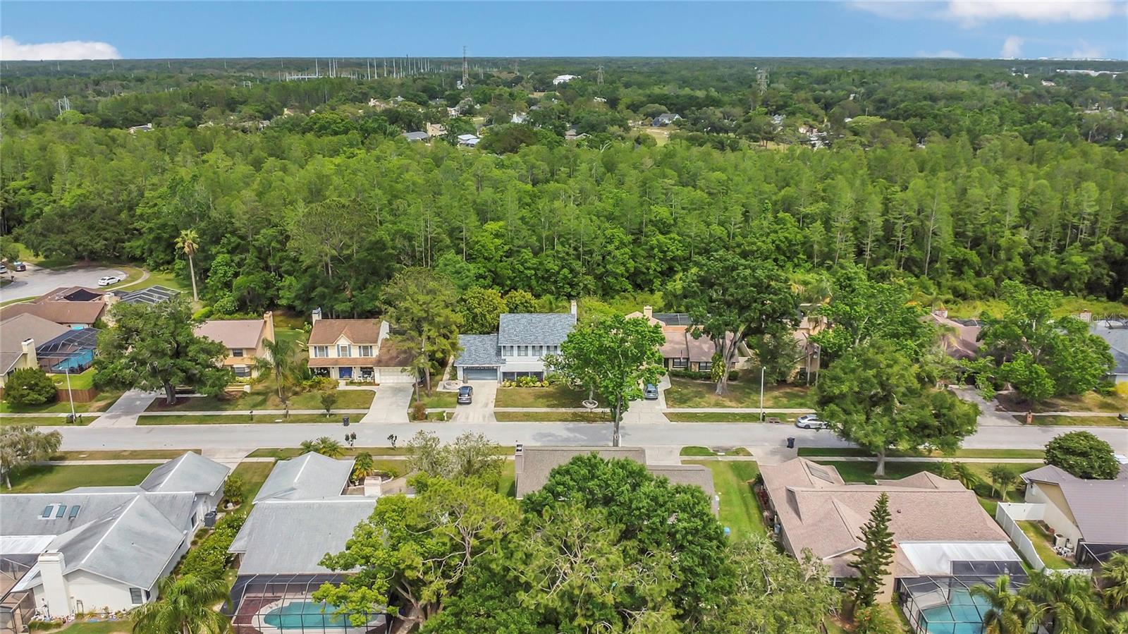 Image 39 of 45 For 16528 Oley Ridge Court