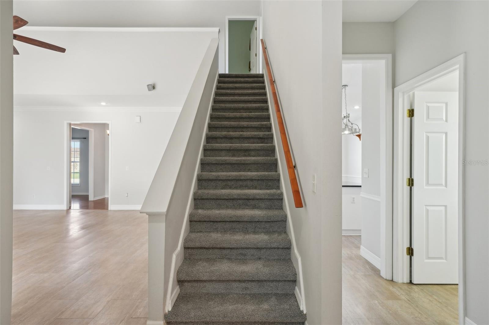 Image 17 of 31 For 6518 Paw Place