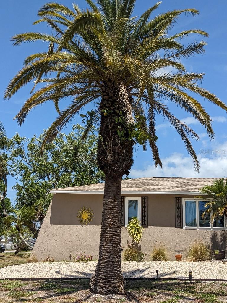 Image 2 of 44 For 8004 25th Avenue W