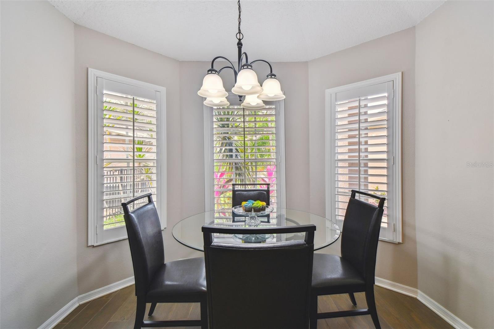Image 11 of 91 For 6006 Chellas Court