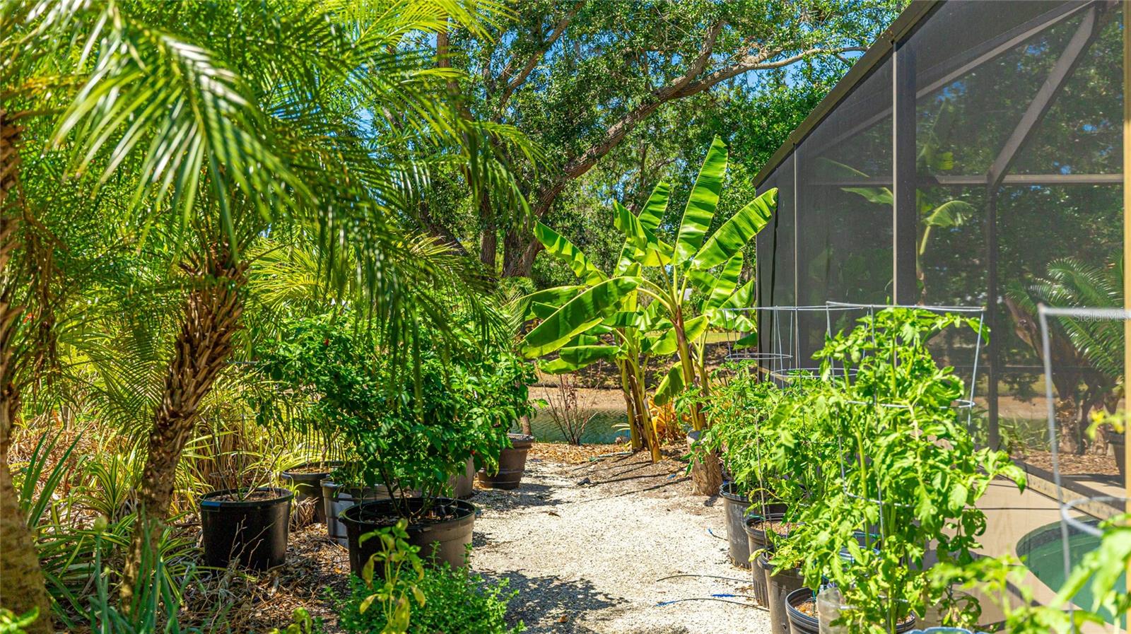 Image 31 of 33 For 6148 Bonaventure Court