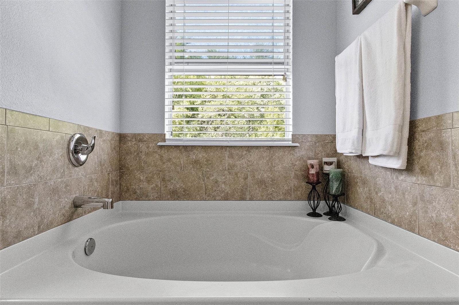 Image 30 of 65 For 27549 Stonecreek Way