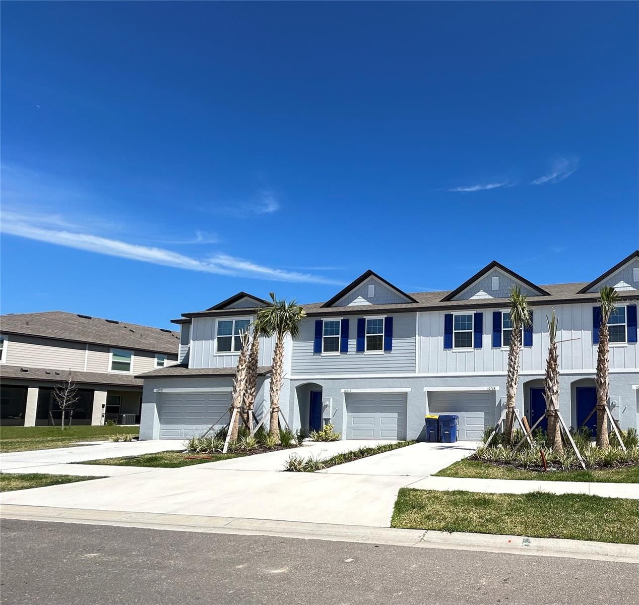 Details for 10811 Ironwood Tree Way, SAN ANTONIO, FL 33576