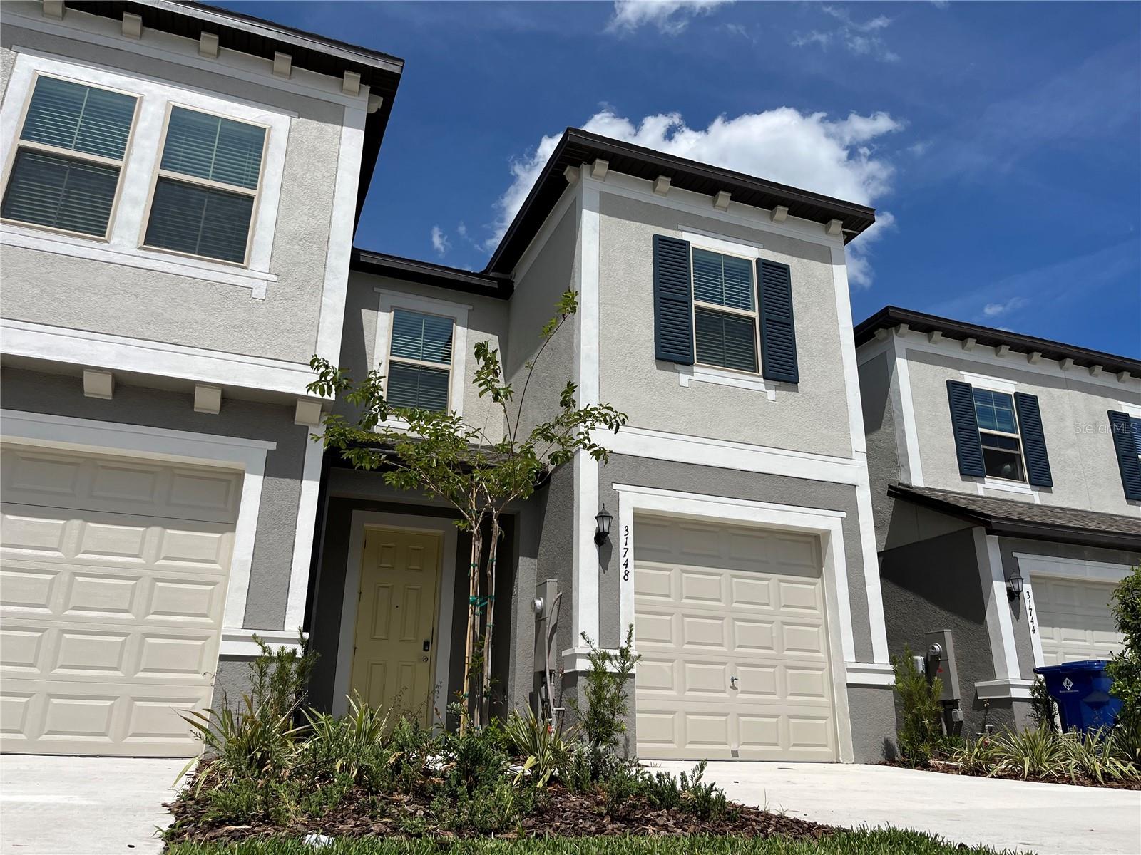 Details for 31748 Blue Passing Loop, WESLEY CHAPEL, FL 33545
