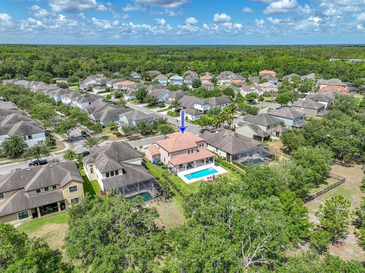 Image 77 of 98 For 7927 Hampton Lake Drive