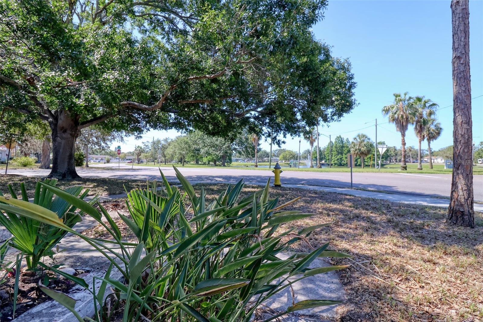 Image 33 of 38 For 4845 25 Avenue N
