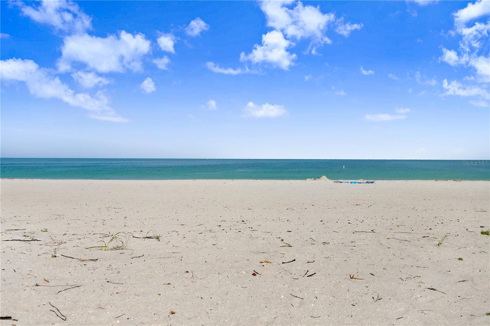 Image 2 of 34 For 1460 Gulf Boulevard 906