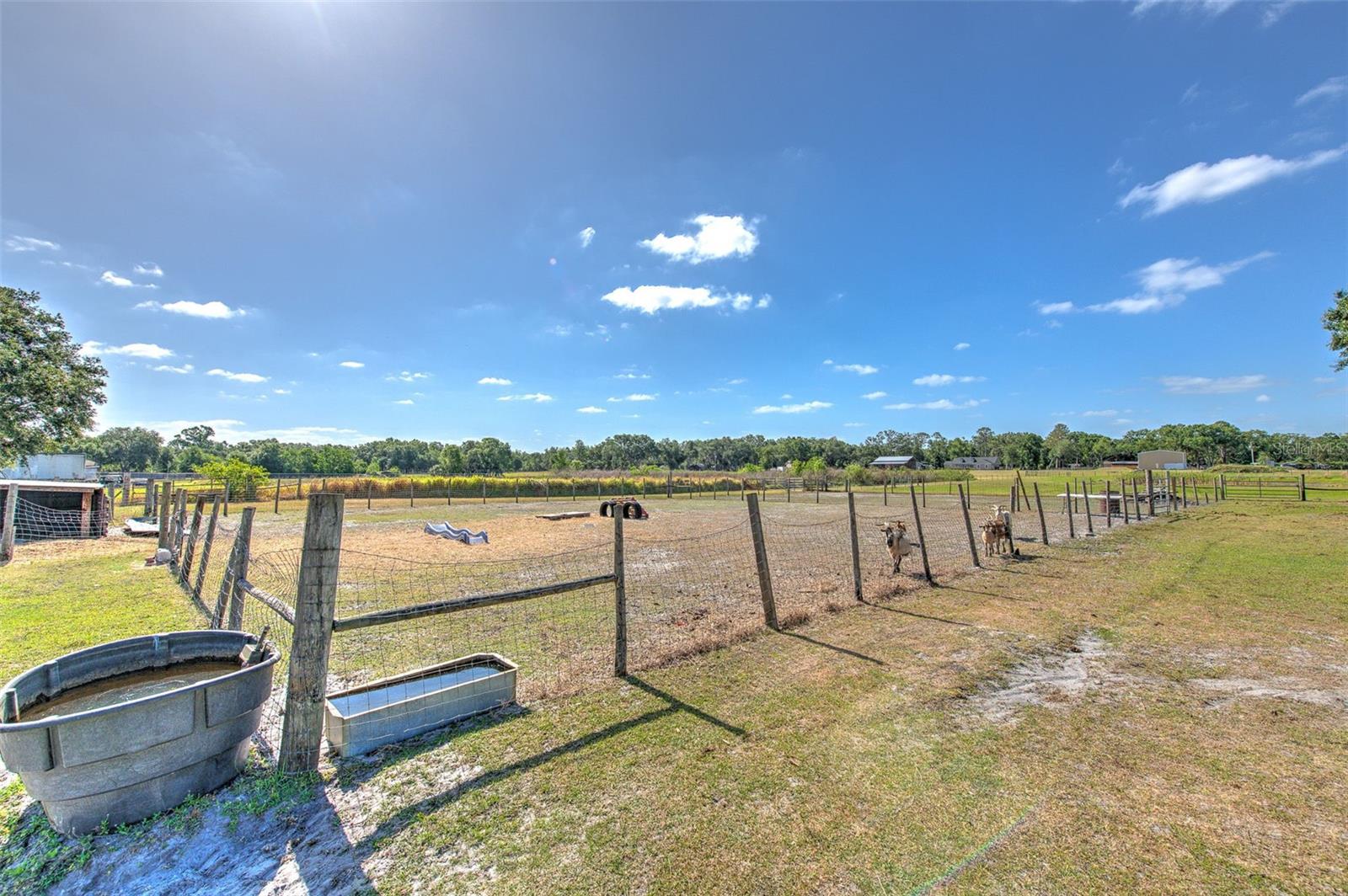 Image 11 of 36 For 6709 Knights Griffin Road
