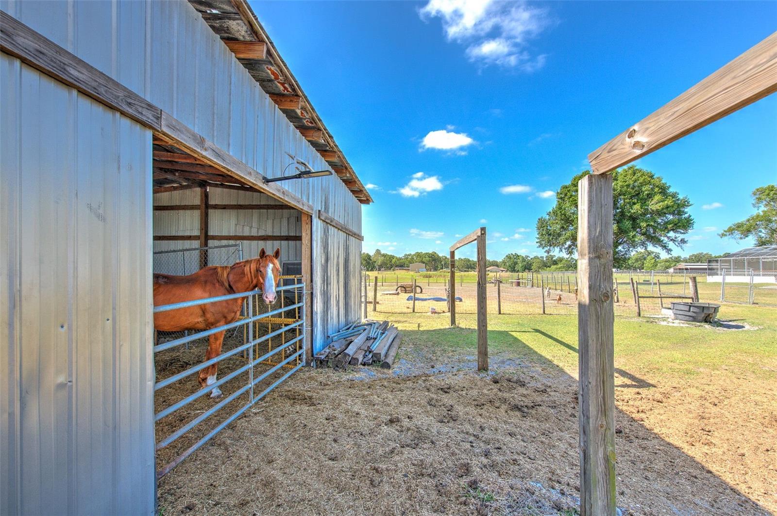 Image 3 of 36 For 6709 Knights Griffin Road