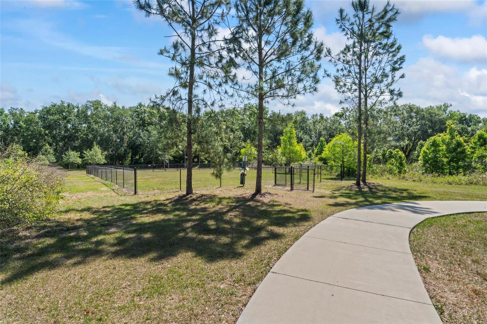Image 39 of 48 For 2821 Lytton Hall Drive