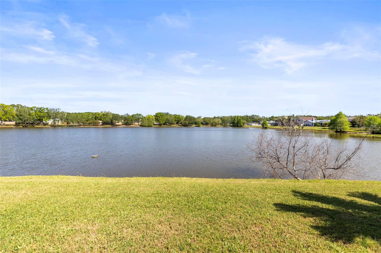 Image 46 of 67 For 11503 Whispering Hollow Drive