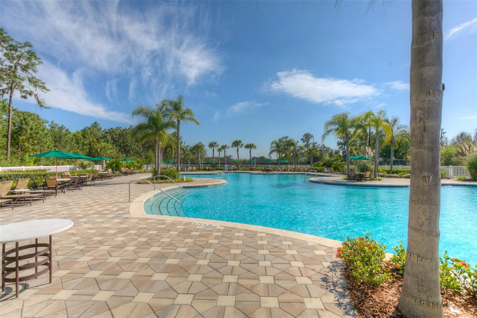 Listing photo id 19 for 20606 Whitewood Way