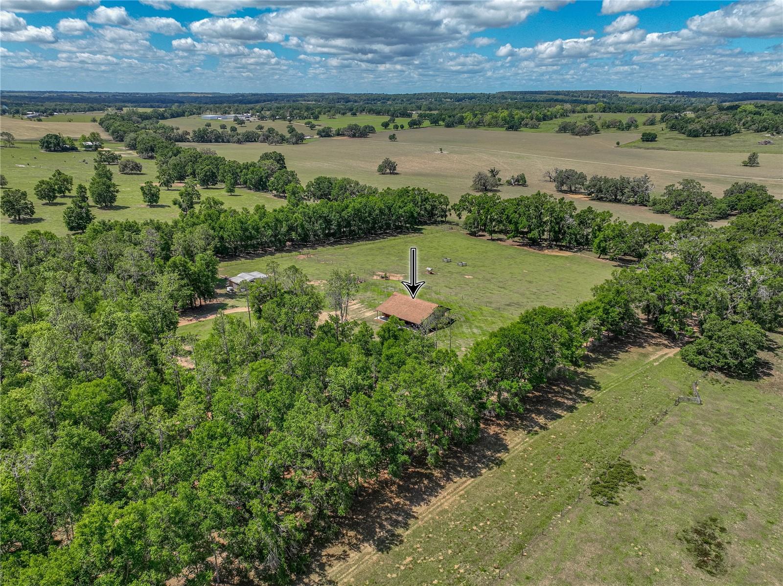 Listing photo id 63 for 35657 Ashley Lane