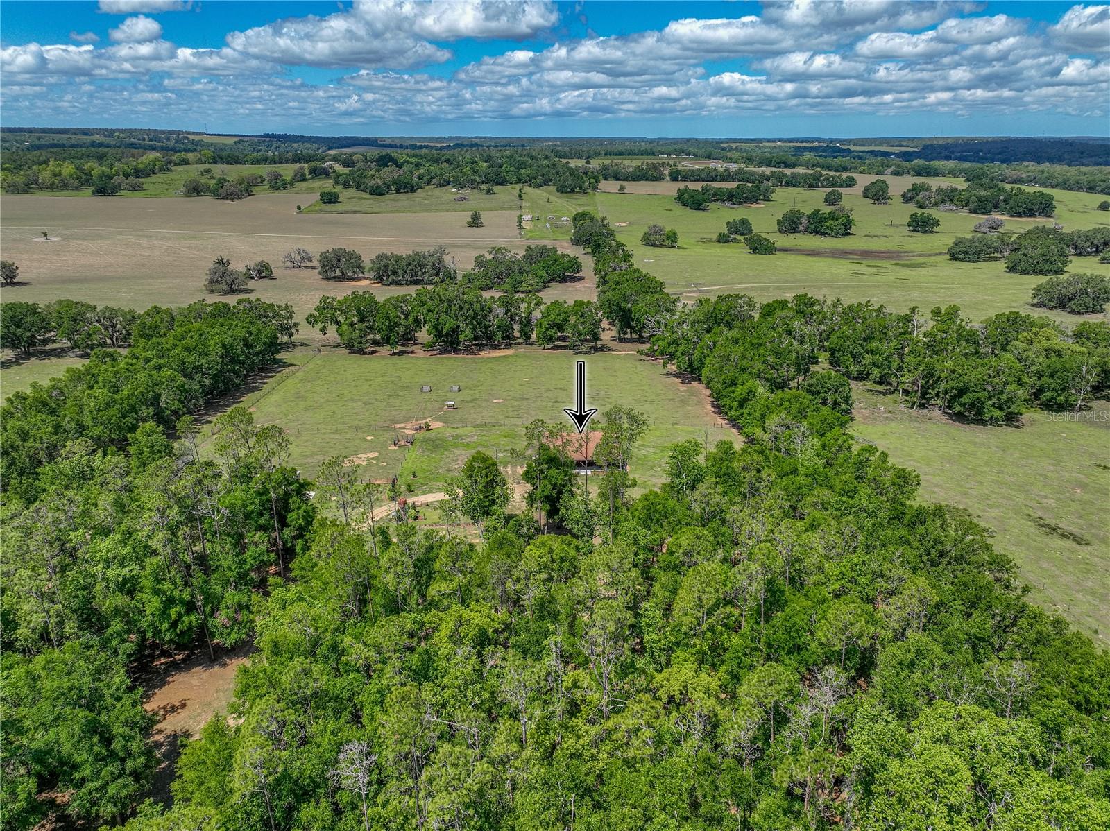 Listing photo id 64 for 35657 Ashley Lane
