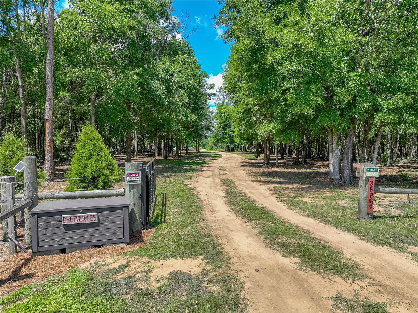 Listing photo id 5 for 35657 Ashley Lane