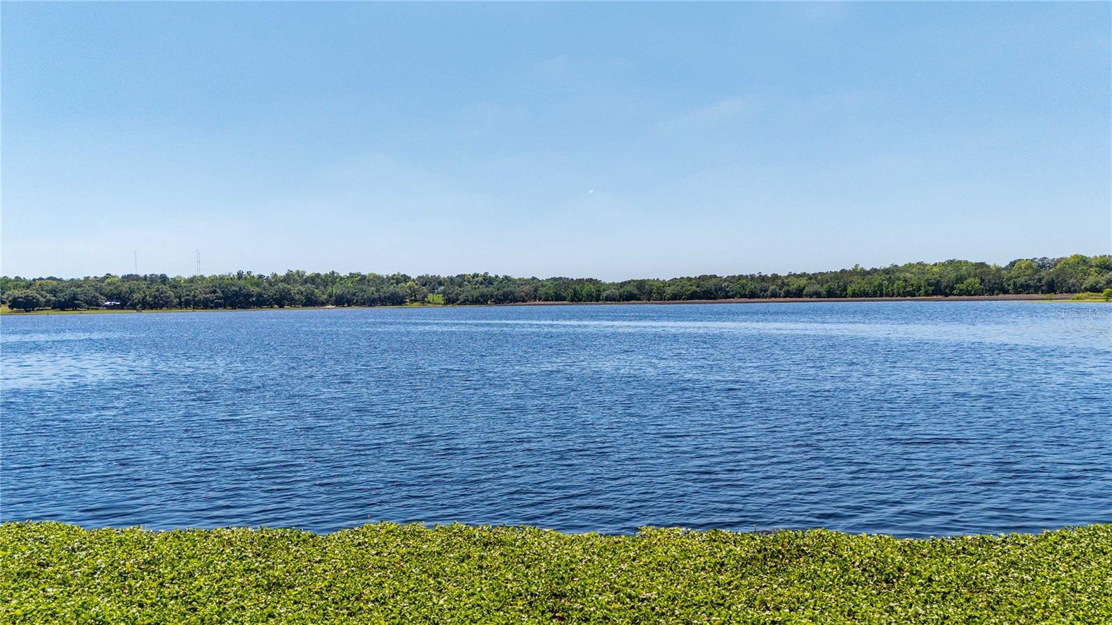 Details for 3265 Neff Lake Road, BROOKSVILLE, FL 34602