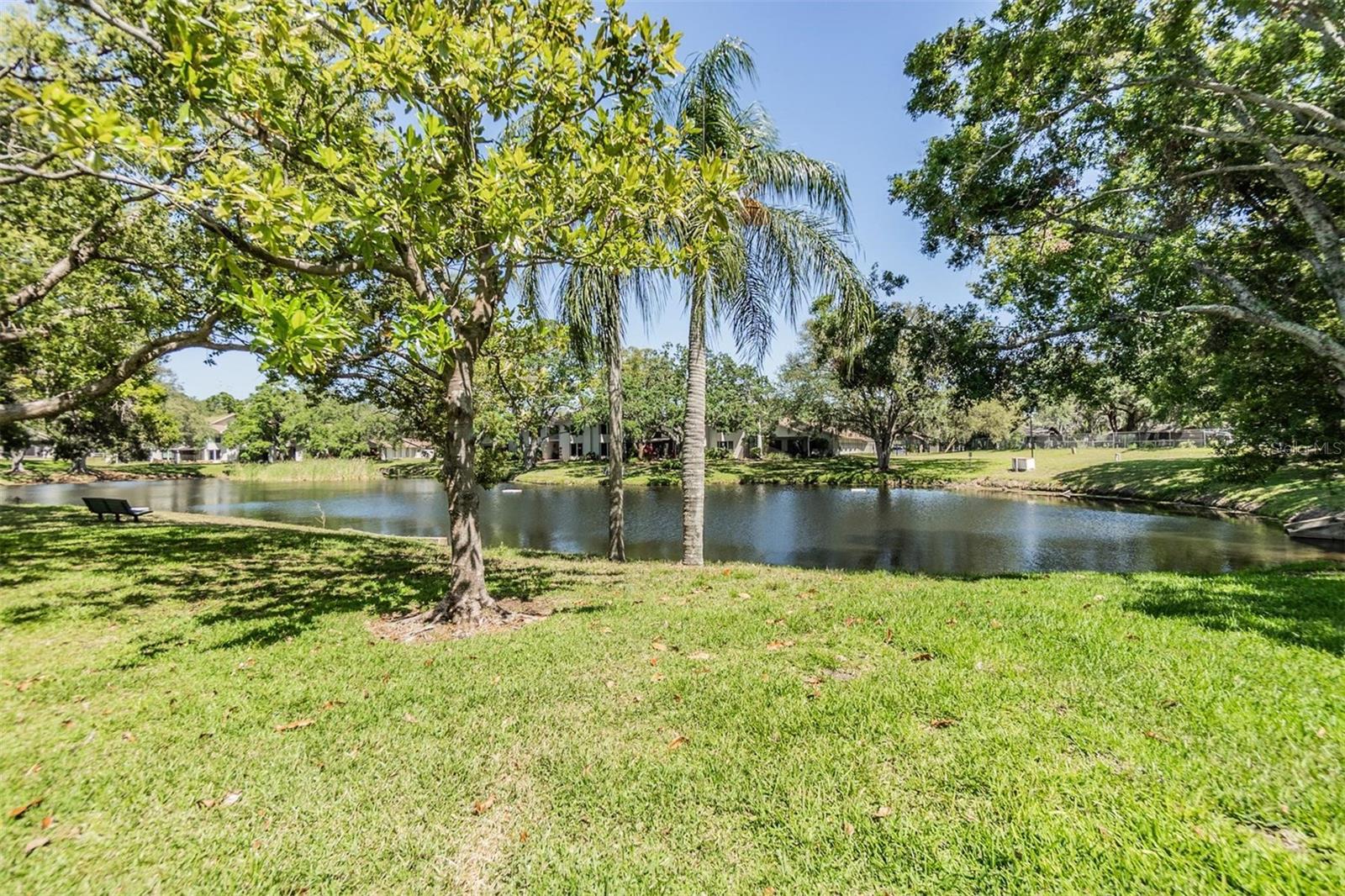 Image 31 of 57 For 486 Lakeview Drive 54