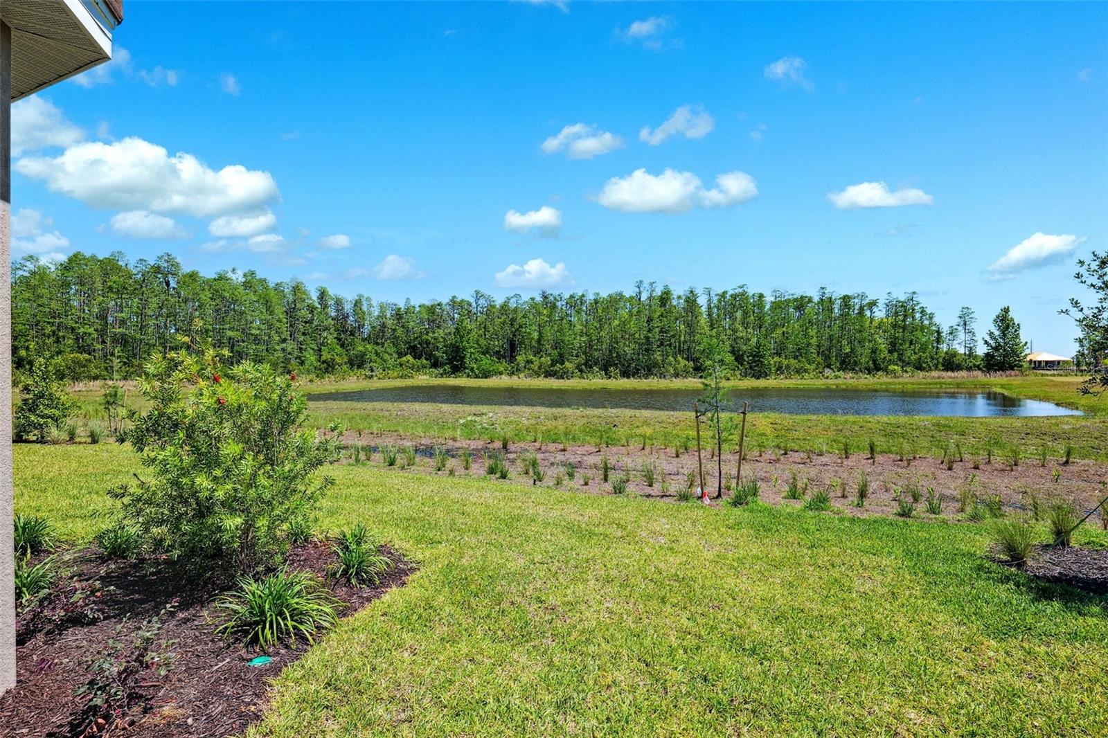 Image 46 of 73 For 29906 Radice Court