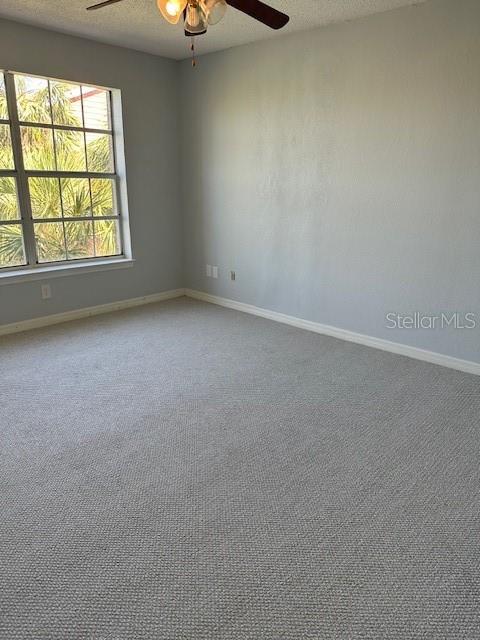 Image 12 of 15 For 10200 Gandy Boulevard N 1133