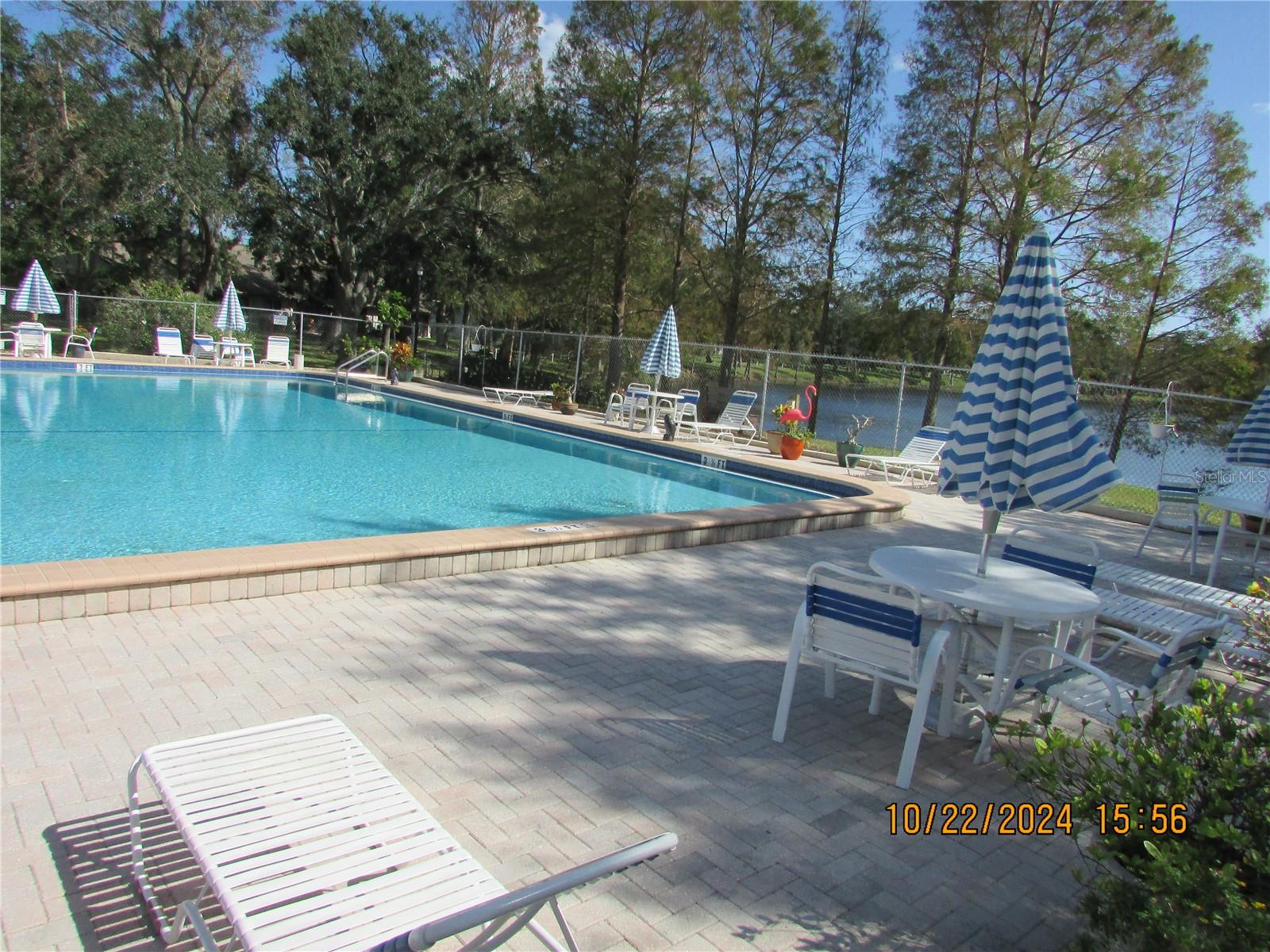 Image 21 of 38 For 2555 Royal Pines Circle A