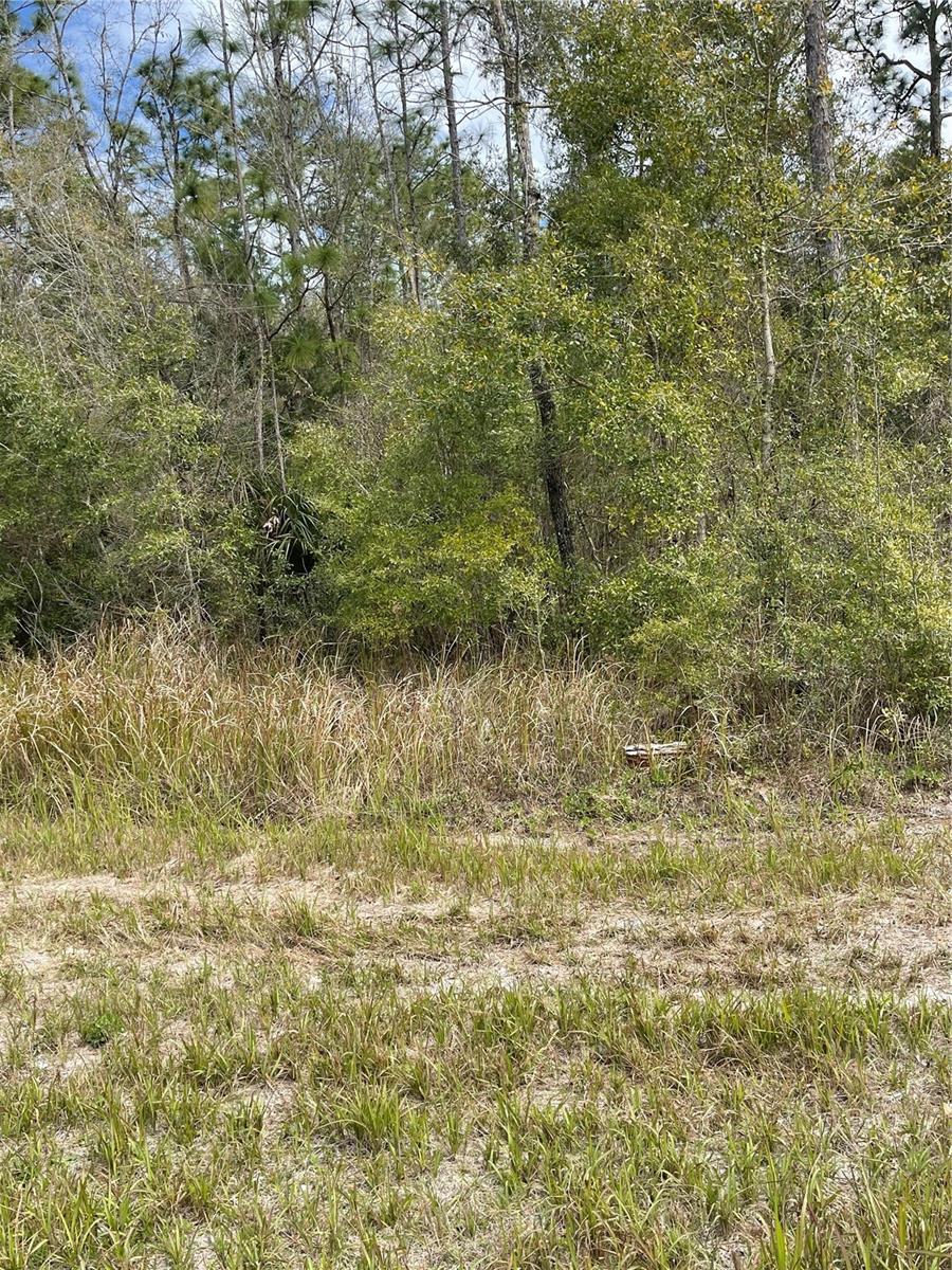 Listing Details for 14139 Pigeon Road, HUDSON, FL 34669