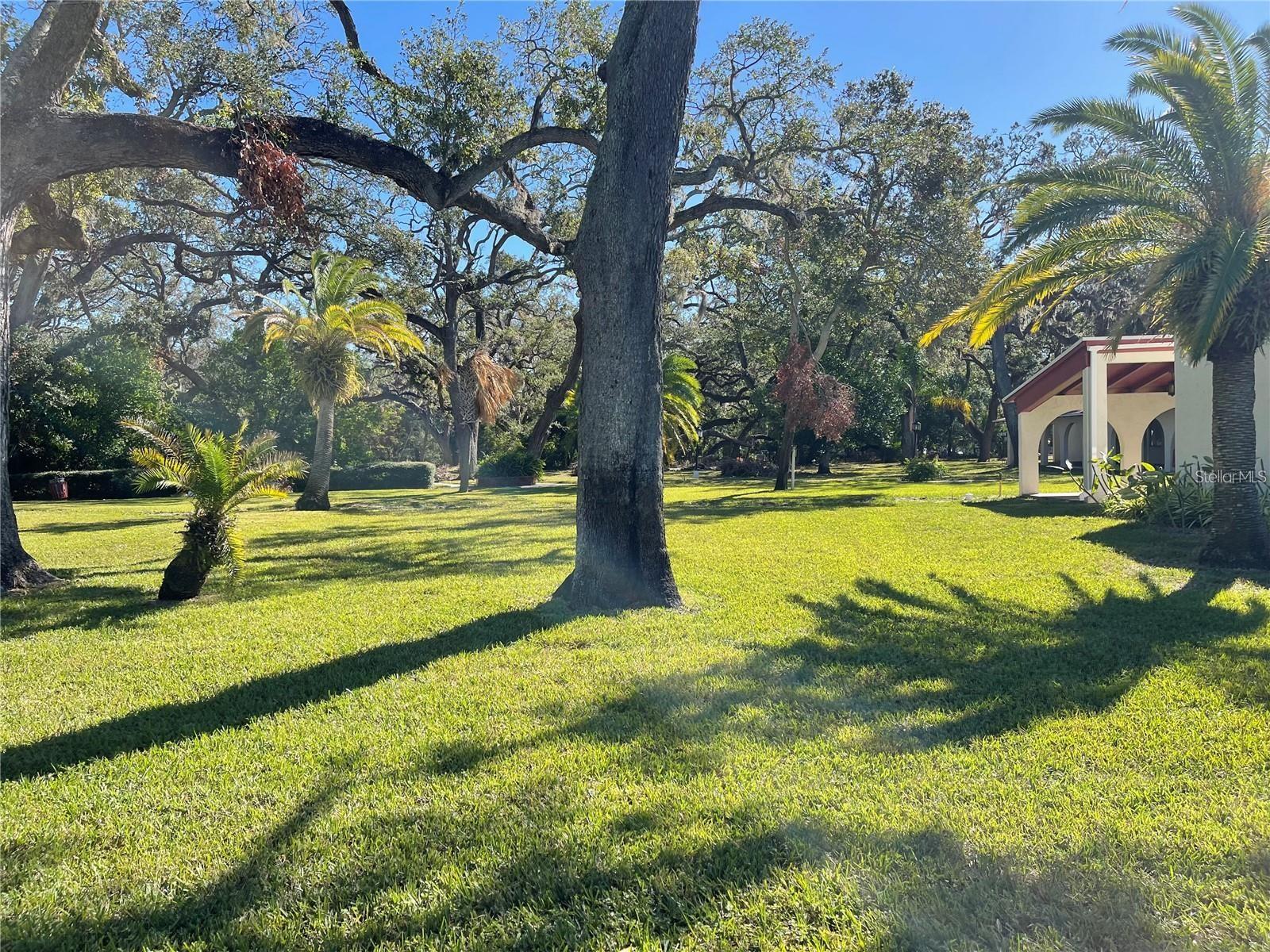 Image 35 of 36 For 2699 Seville Boulevard 705