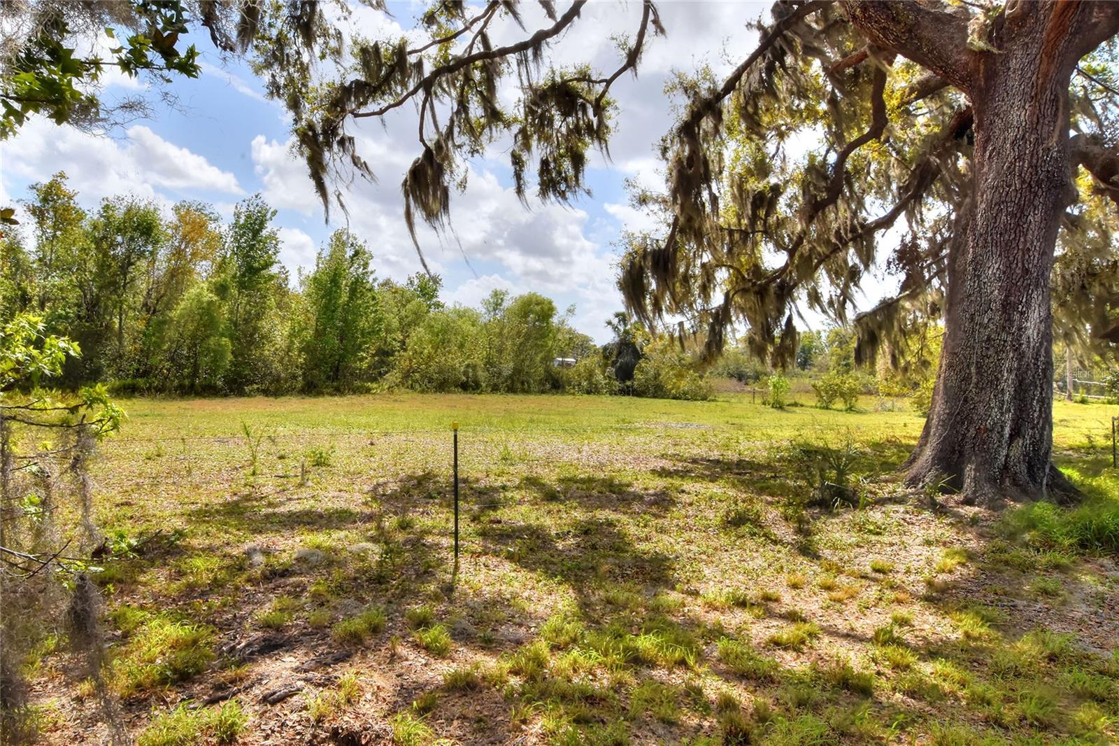 Details for  Armor Road , PLANT CITY, FL 33567