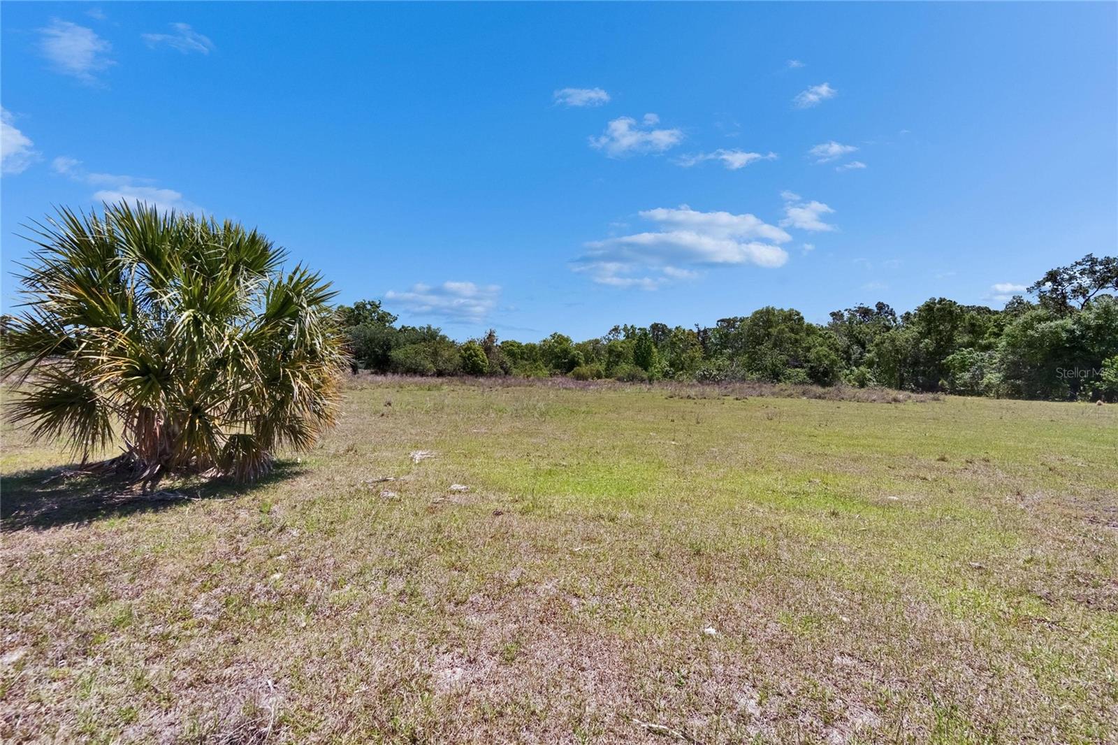 Image 45 of 55 For 16894 Delia Street