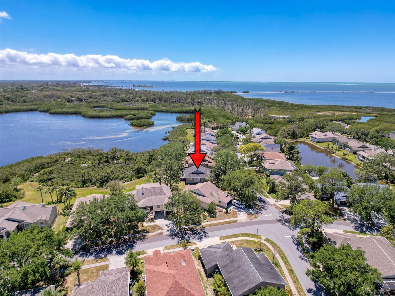 Details for 1003 Teal Pointe, TARPON SPRINGS, FL 34689