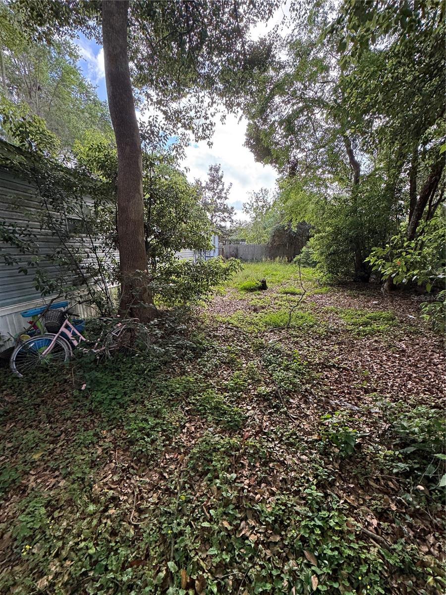 Listing photo id 23 for 28492 Sentinel Street
