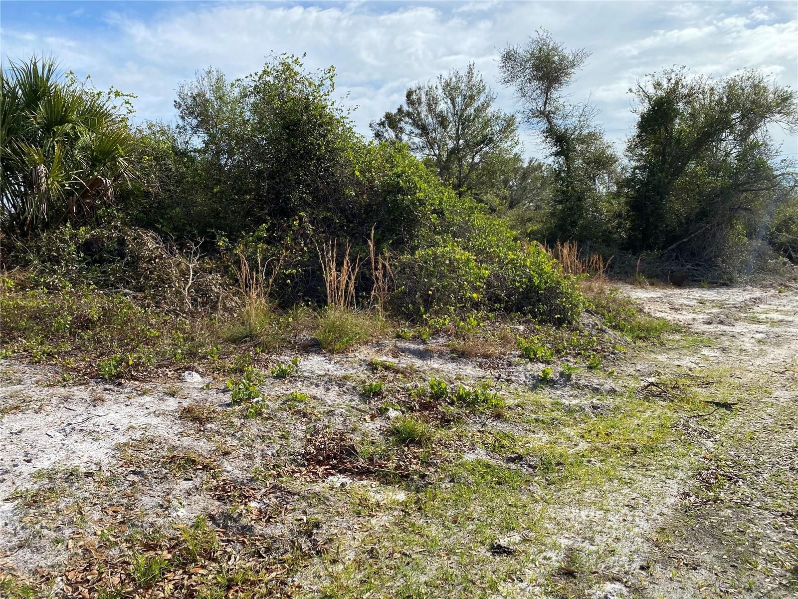 Image 3 of 15 For 1616-1999 Coastal-broadpoint Drive