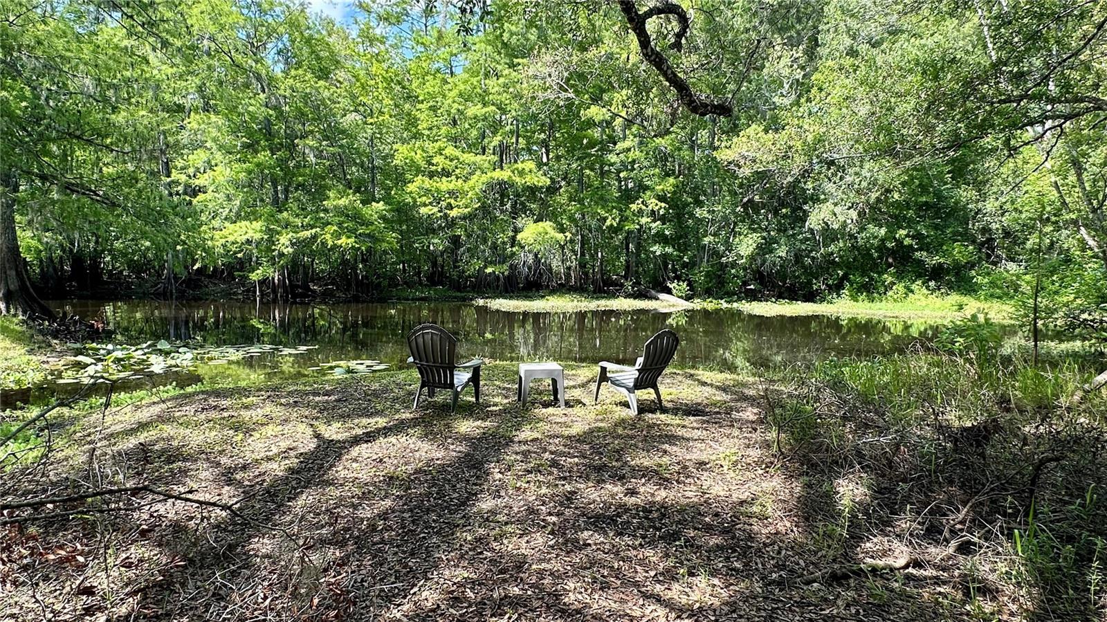Details for 29133 Lawton Drive, NOBLETON, FL 34661