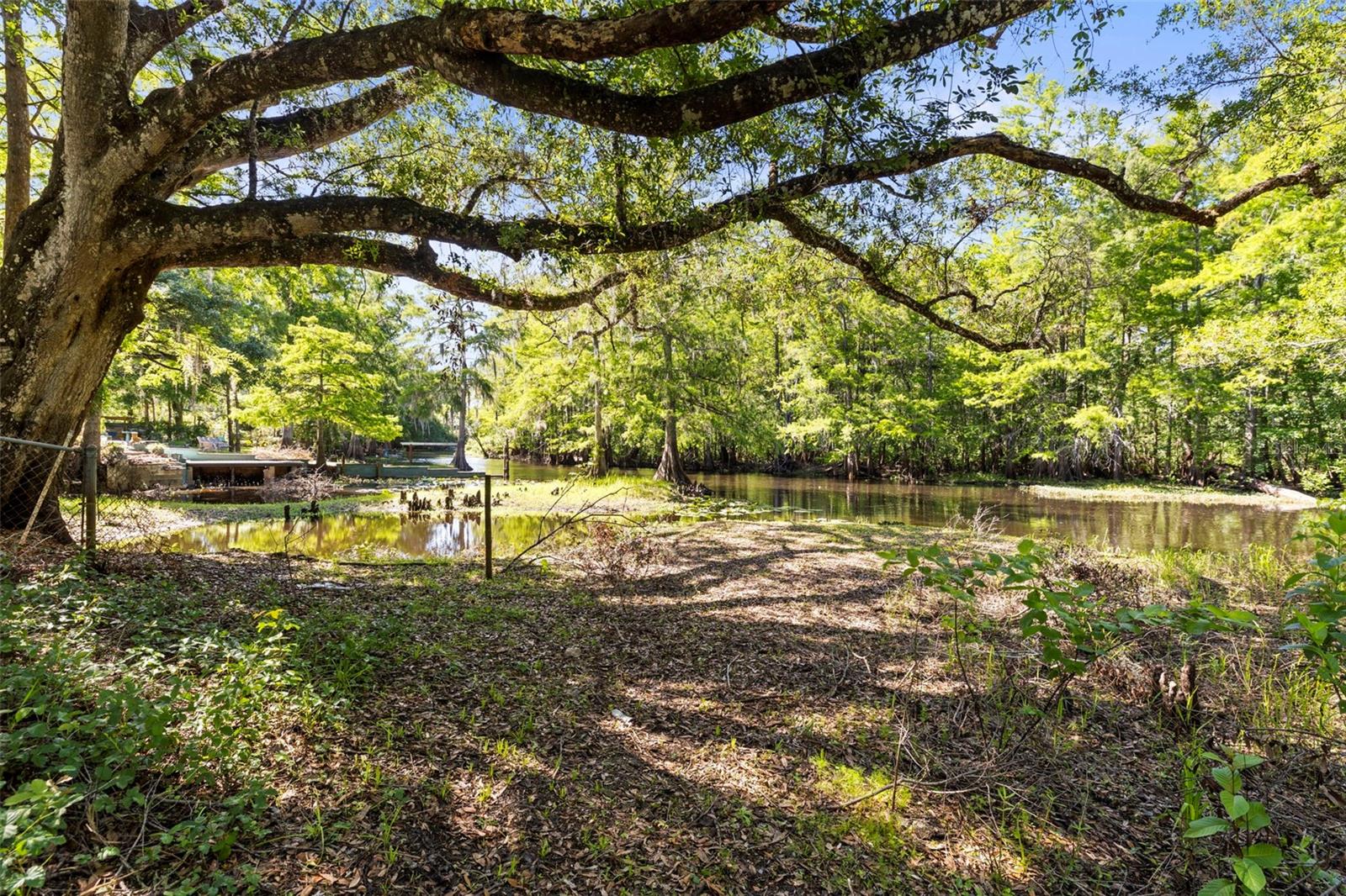 Image 33 of 40 For 29133 Lawton Drive