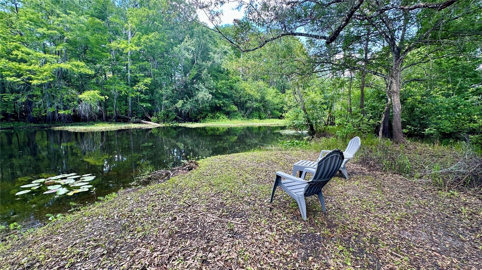 Image 35 of 40 For 29133 Lawton Drive