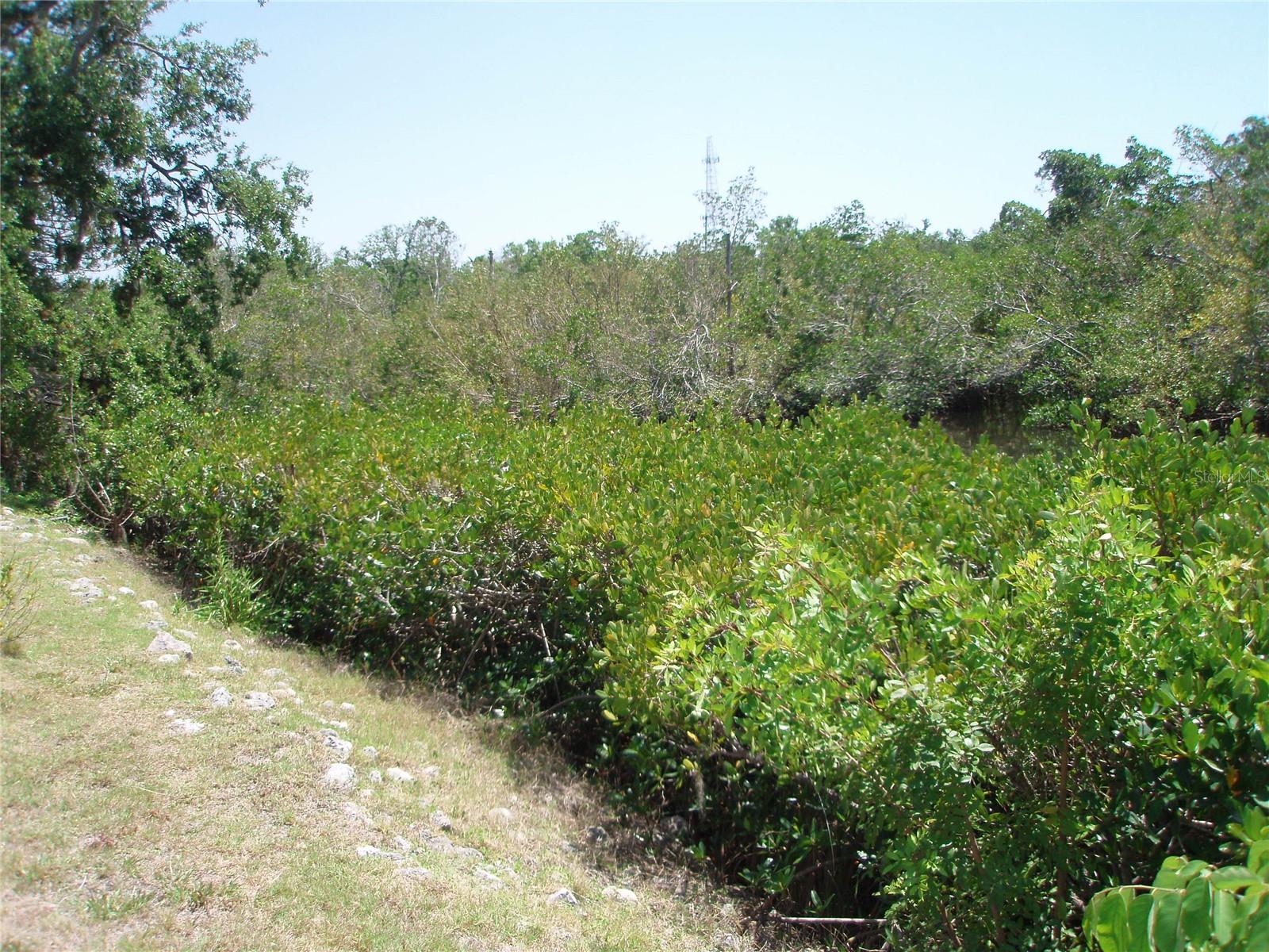 Image 15 of 19 For 1942 Settlement Road 25