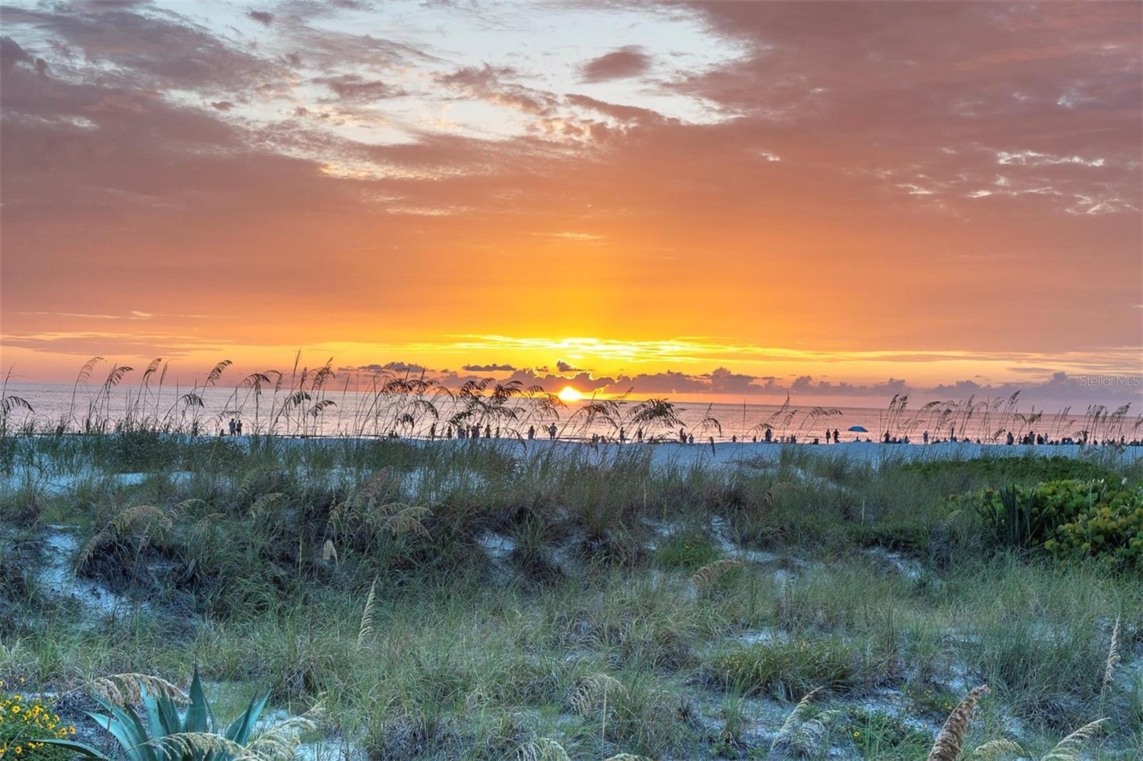 Image 34 of 36 For 4450 Gulf Boulevard 114