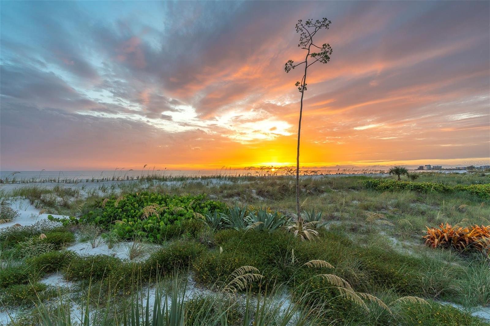 Image 36 of 36 For 4450 Gulf Boulevard 114