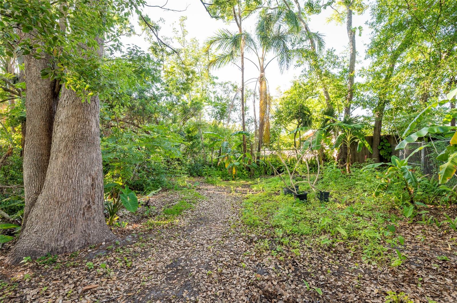Image 65 of 83 For 1880 Belleair Road