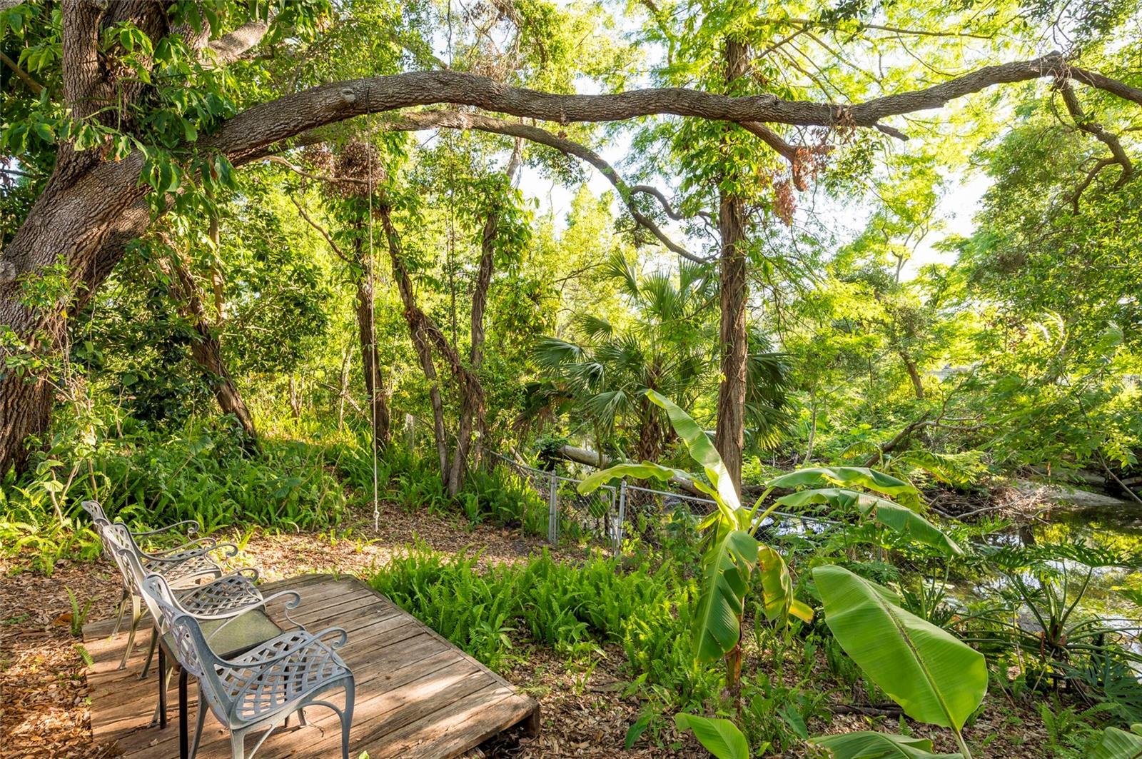 Image 66 of 83 For 1880 Belleair Road
