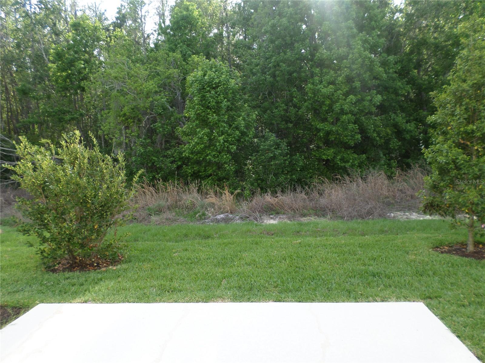 Image 4 of 27 For 2115 Hallier Cove