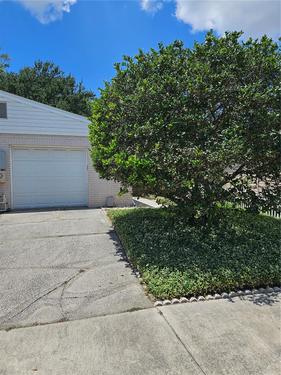 Image 59 of 61 For 414 Danube Avenue