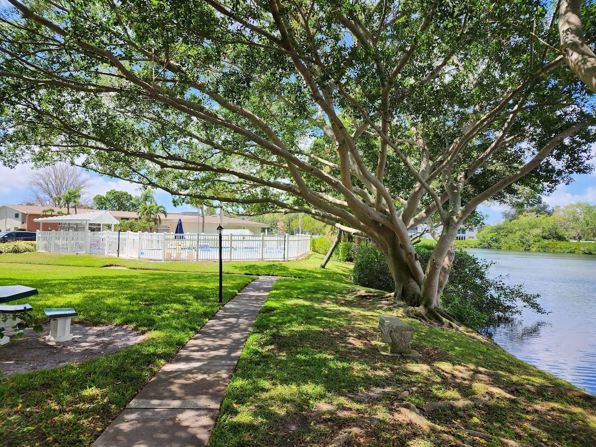 Image 12 of 13 For 4580 Overlook Drive Ne 296
