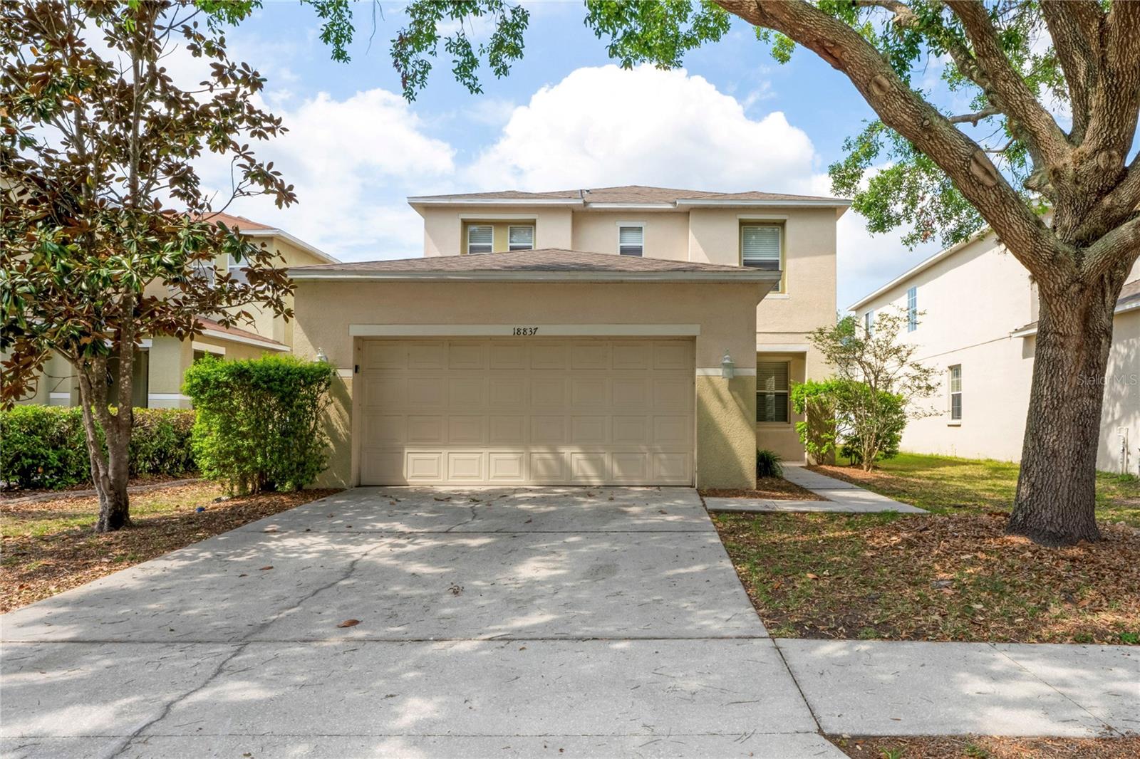 Details for 18837 Litzau Lane, LAND O LAKES, FL 34638